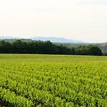 Chateau De La Selve *