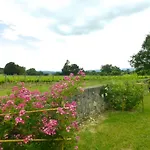 Chateau De La Selve 公寓 *